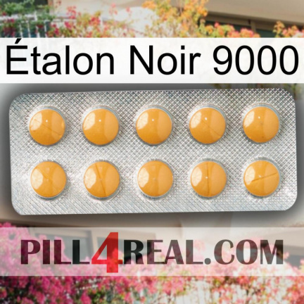 Étalon Noir 9000 levitra1